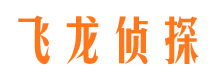 高阳市侦探公司